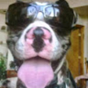 Meet your Posher, Bridget